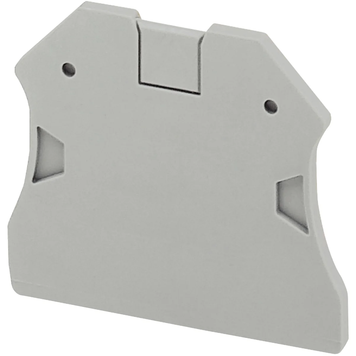 SCHNEIDER Tapa Final P/Borne 2.5 A 10MM Linergy NSYTRAC22 Schneider NSYTRAC22